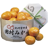 _Cʉ a̎RY cM݂ TMM-50RW