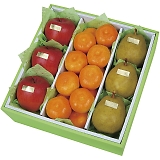 _Cʉ EC^[t[cl WF-55RW