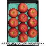 MBTӂ 3kgi10ʁj YO-570