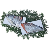 �k�C���Y��ѐV�����p�ؐg 7100