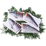 �k�C���Y��ѐV�����p�ؐg 76102