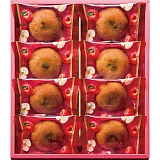 ЂƂƂ ʎՂӂьP[L RCB-10